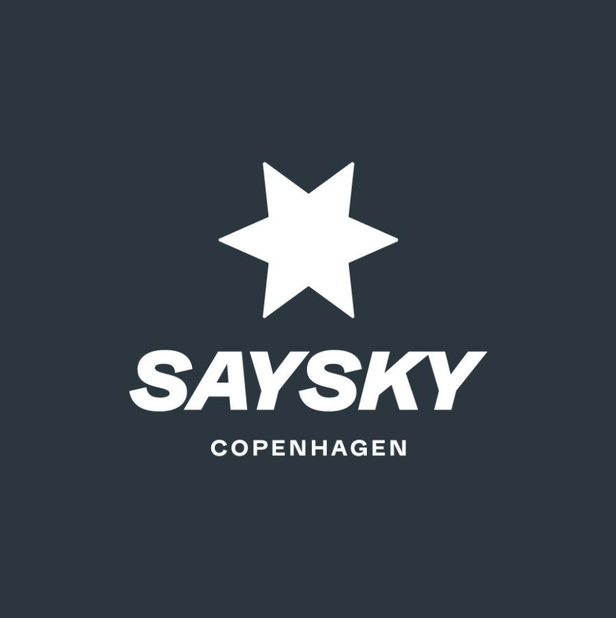 Saysky logo